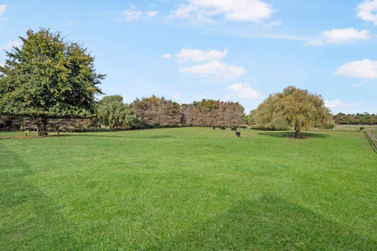 242 Seagrove Road Waiau Pa_34