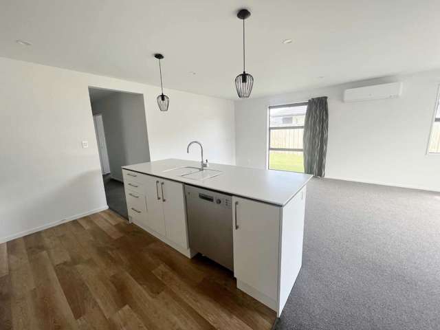 55 Bonecrusher Street Lincoln_4