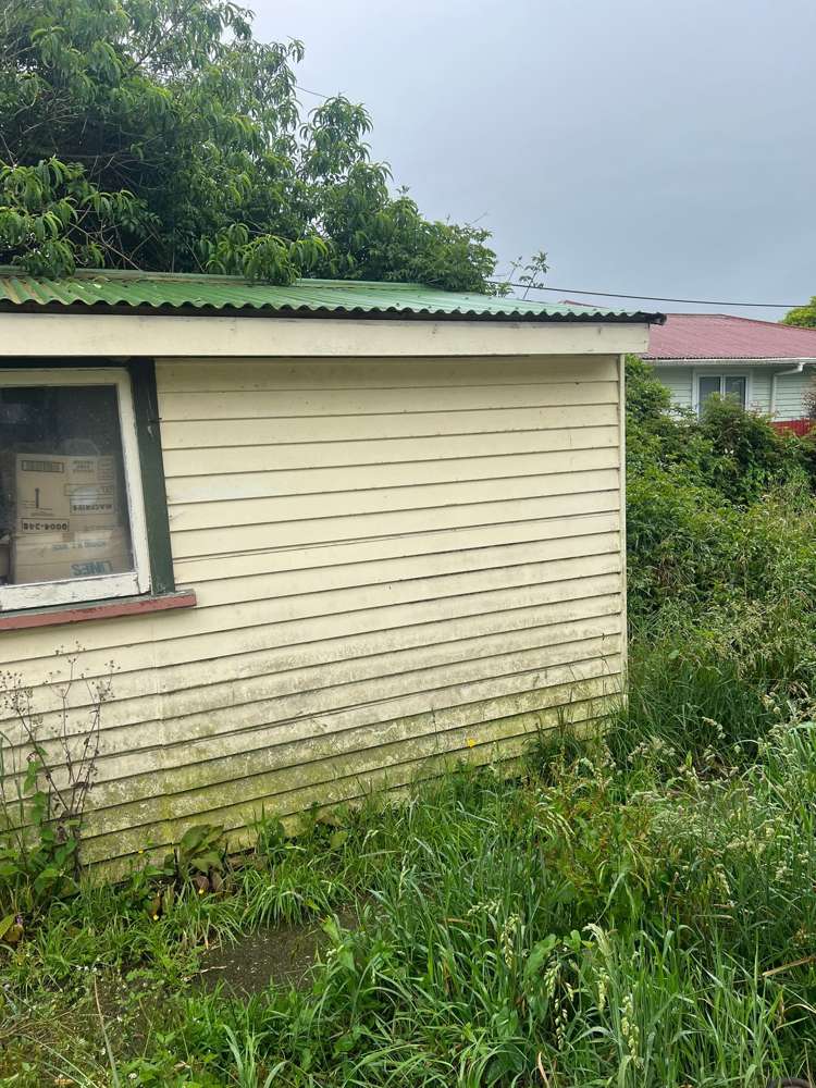 21 Ferguson Street Levin_8