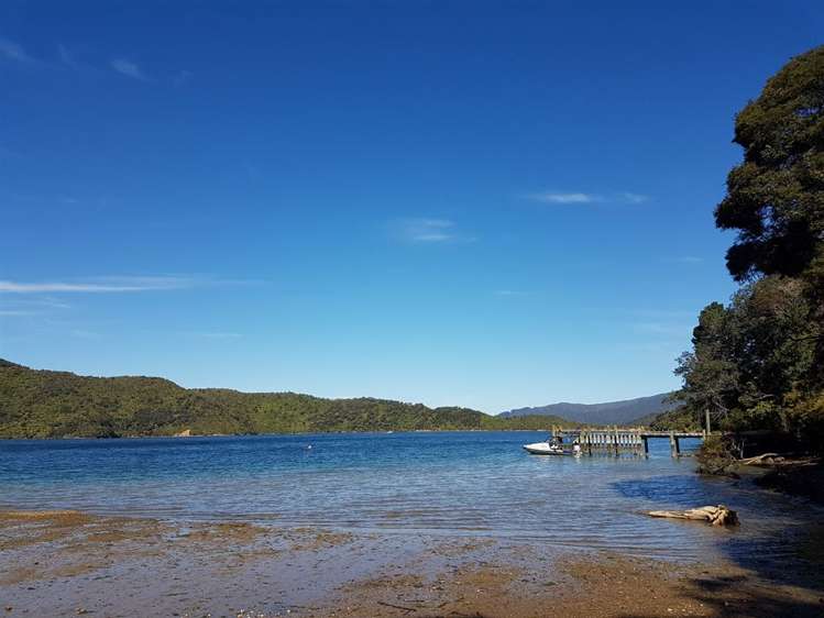 Torea Moua Bay Marlborough_11