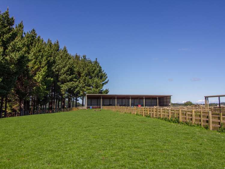 438 Omahina Road Waverley_16