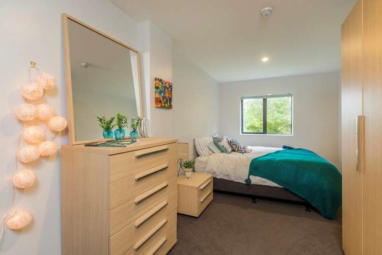 297a Hillsborough Road Hillsborough_15