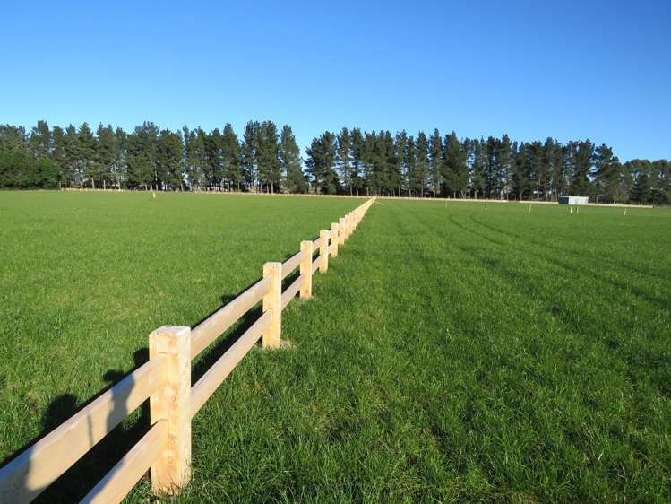 23C Golf Links Drive Allenton_15