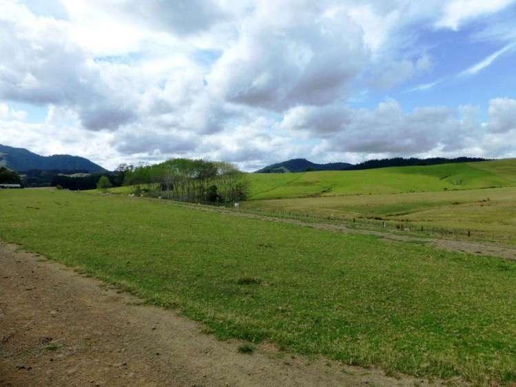 1577 Tangowahine Valley Road Dargaville Surrounds_16