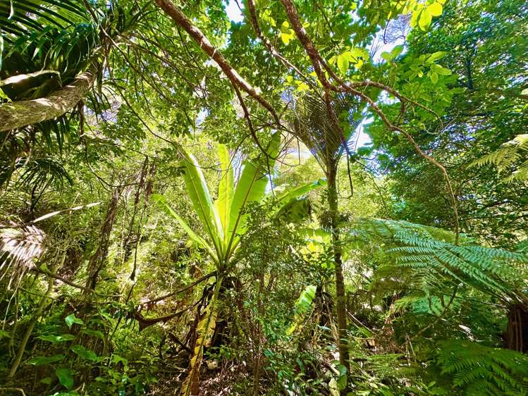 5 View Road Ostend_4