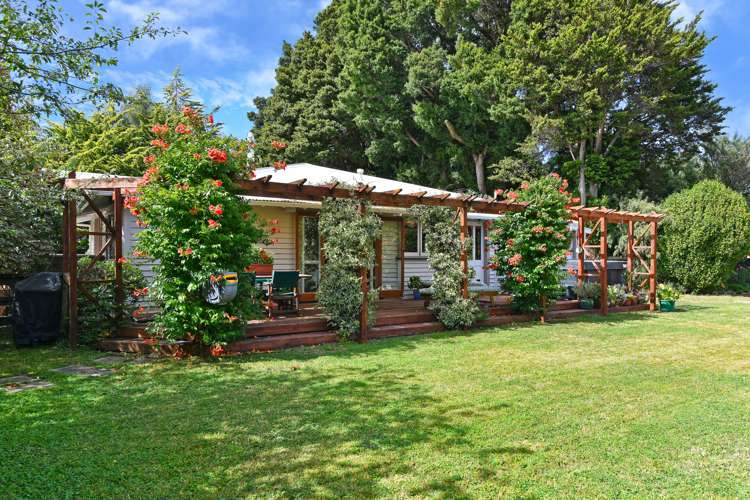 361 Main Road North Brown Owl_9