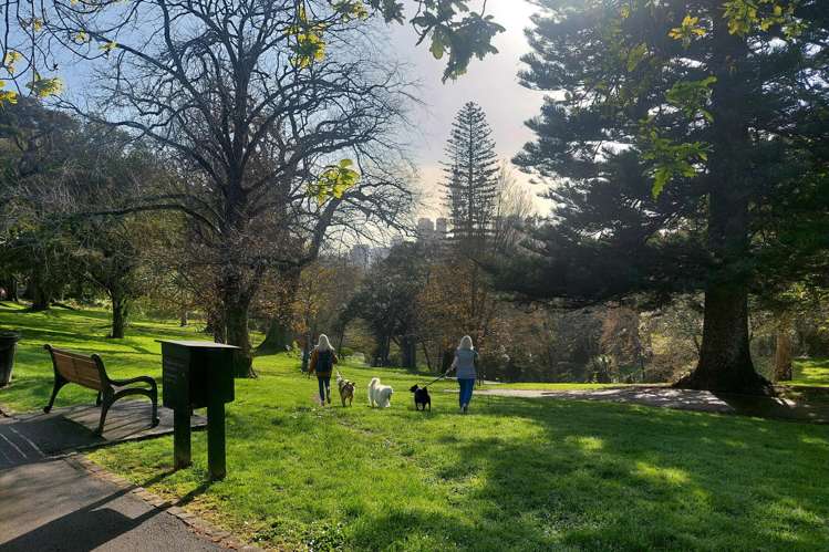 3D/23 Dundonald Street Eden Terrace_24