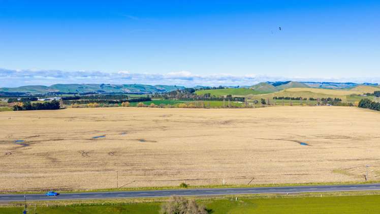 3962 State Highway 2 Takapau_20