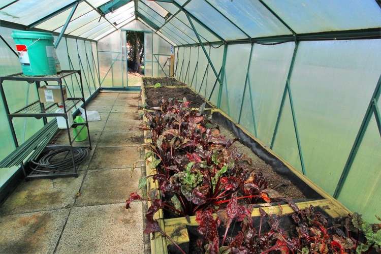 178 Baird Road Tokoroa_17