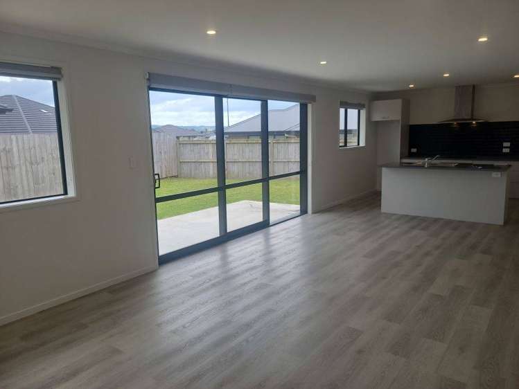 5 Kapiakauri Road 2010_5
