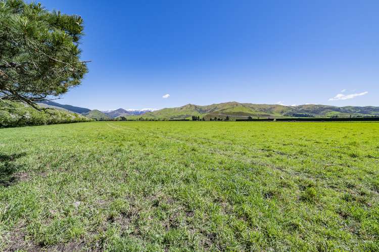 Wyndale Road Springfield_6