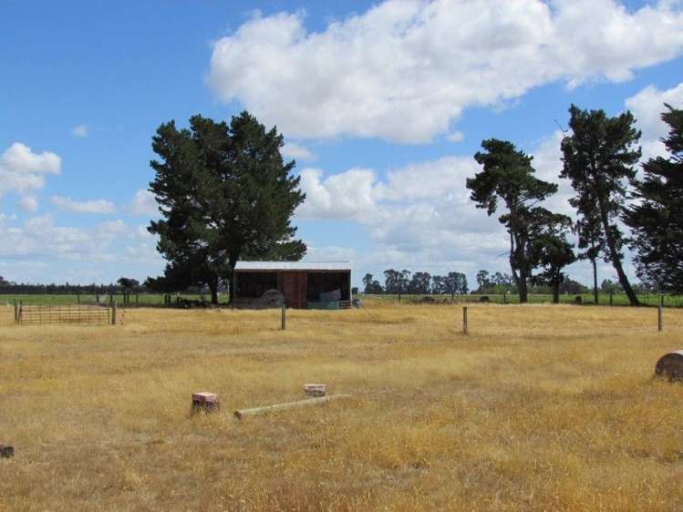 1573 Tikokino Road Tikokino_6