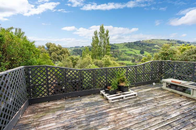 117 Evans Street Opoho_6