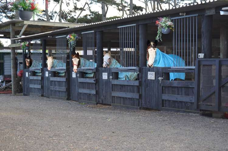 96 Westhead Road Waiuku_15