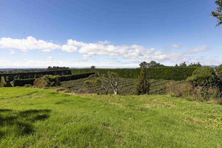 250 Taurangaruru Road Karioitahi_25