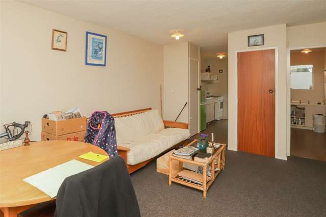 44b Charlemont Street Whitiora_4