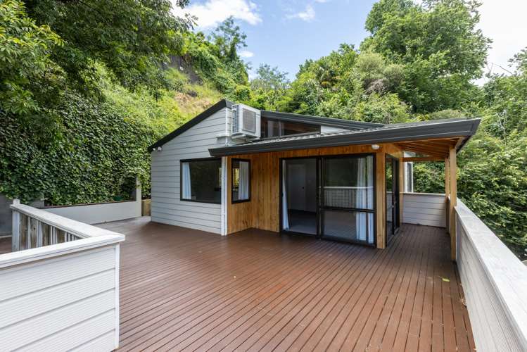 21a Milton Road Bluff Hill_12