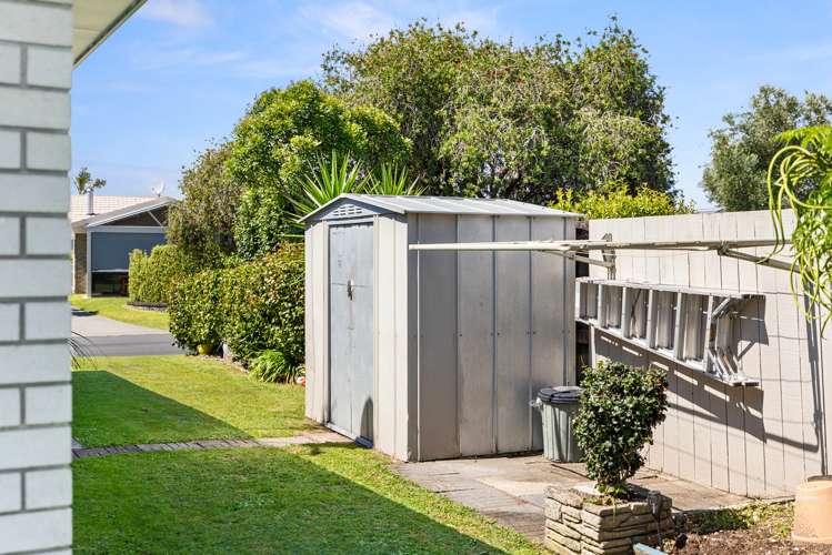 12 Kentia Avenue Mount Maunganui_18