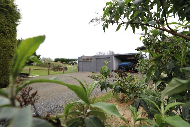 31 Woodlands Road Woodlands_24