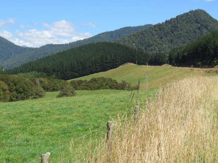 472 Maungatapu Road Rai Valley_12