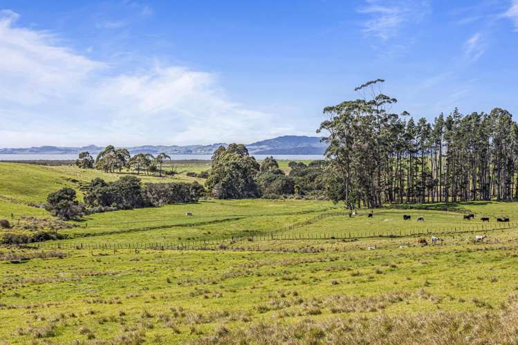 105 Mairetahi Road South Head_29