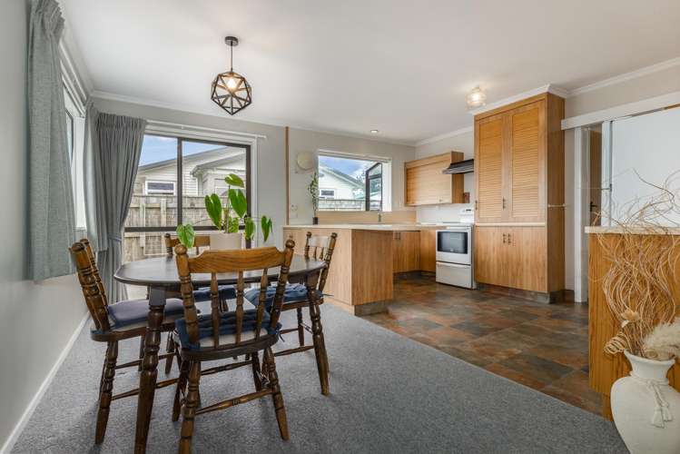 50 Winchester Street Levin_6