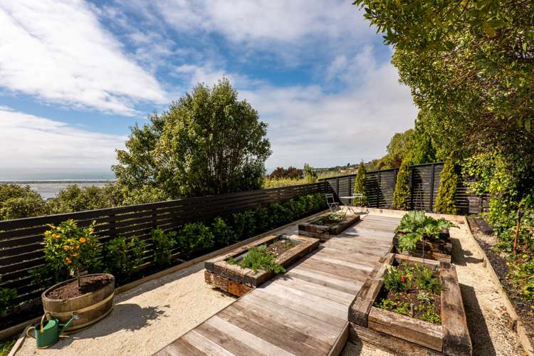 175A Major Hornbrook Road Mount Pleasant_25