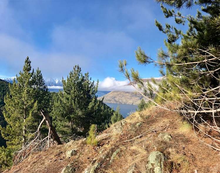 132 Alpine Retreat Road Ben Lomond_8