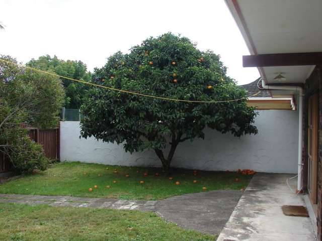 41 Cameron Road Te Puke_1