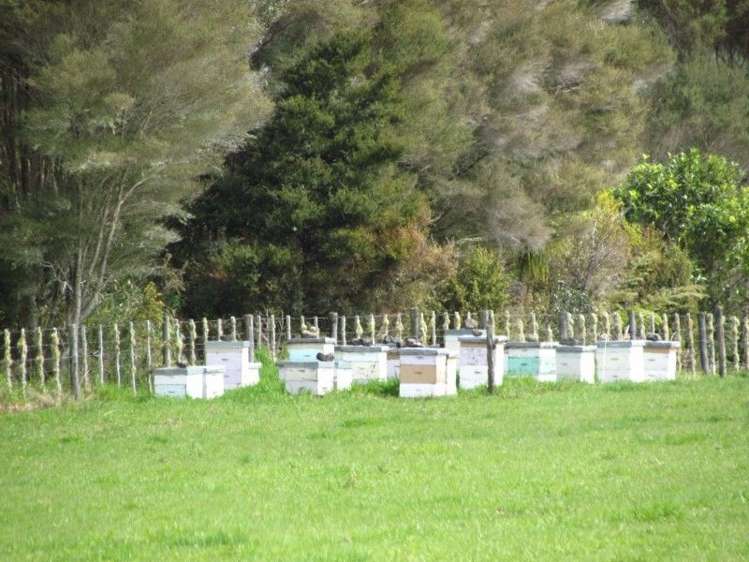 201 Rangiahua Road Horeke_17