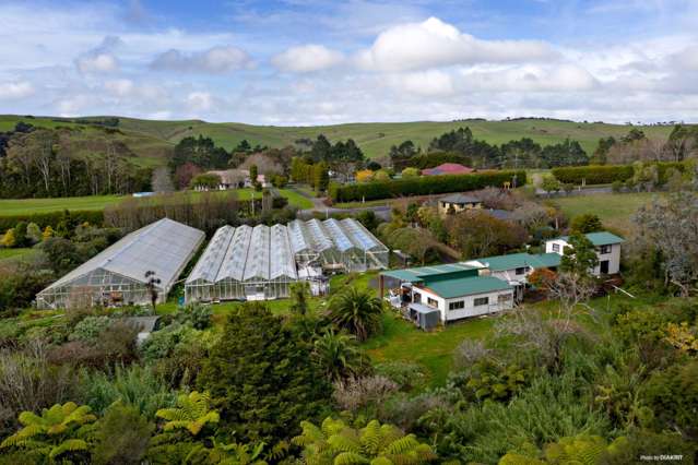 1166 Peak Road Helensville_1