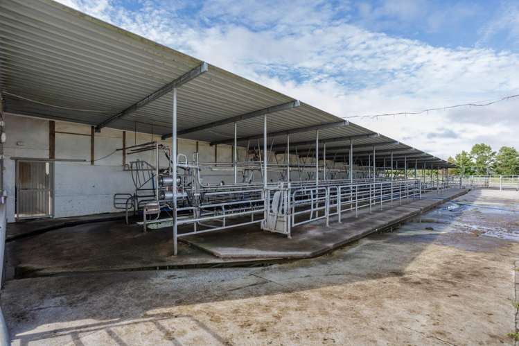 780 Wani Road Paeroa_24