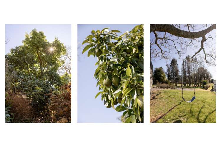 1255 Braemar Road Rotoma_27