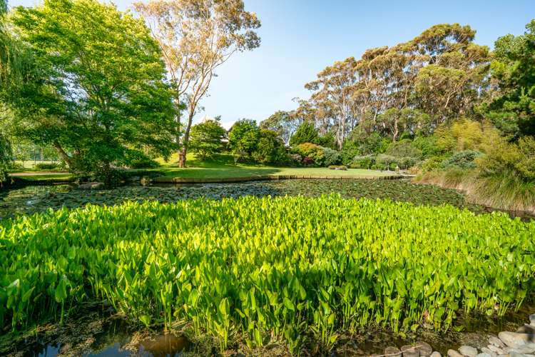 14a Puriri Road Waikanae_58