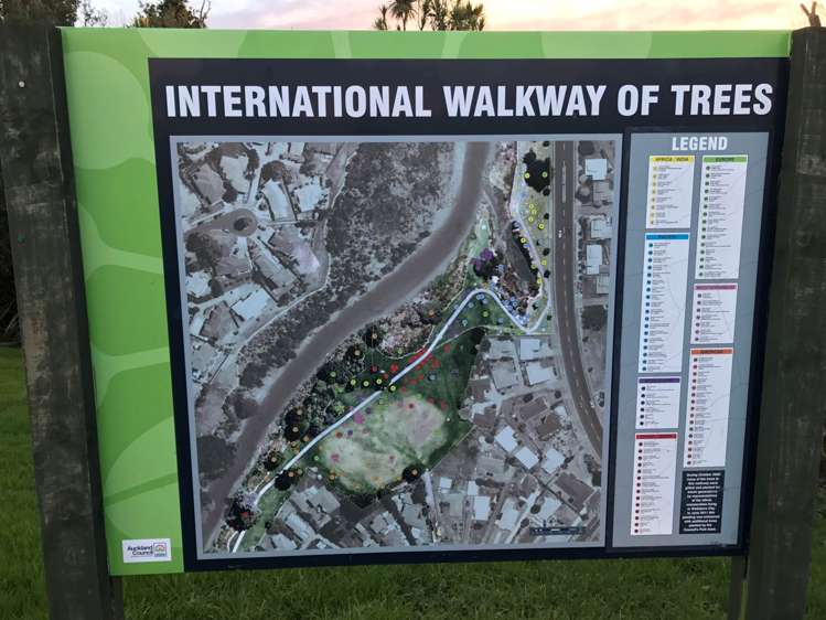 27b Central Park Drive Te Atatu South_10