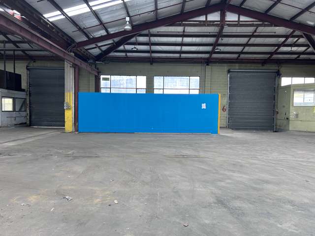 30 Bauchop Street Dunedin Central_3