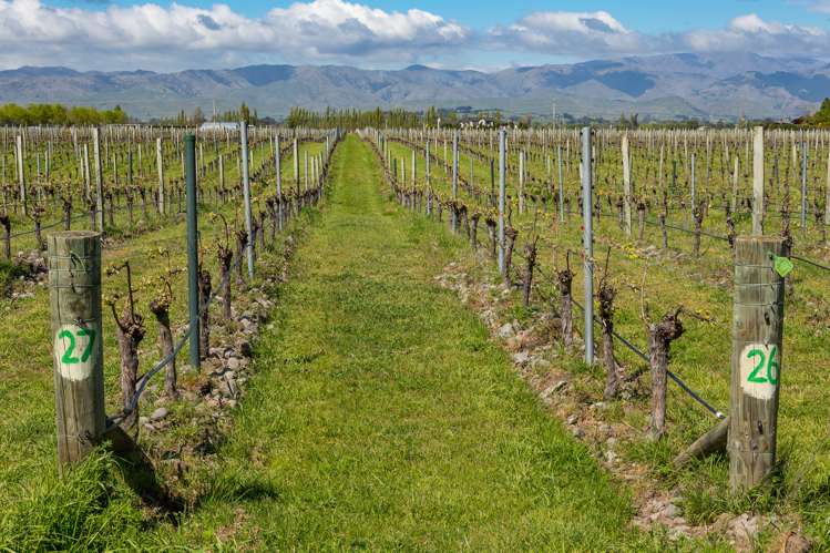 15 Boyces Road Rapaura_1