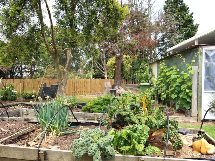 52 Logan Street Dargaville_23