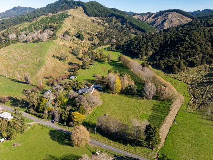 Lot 3/648 Homewood Road_4