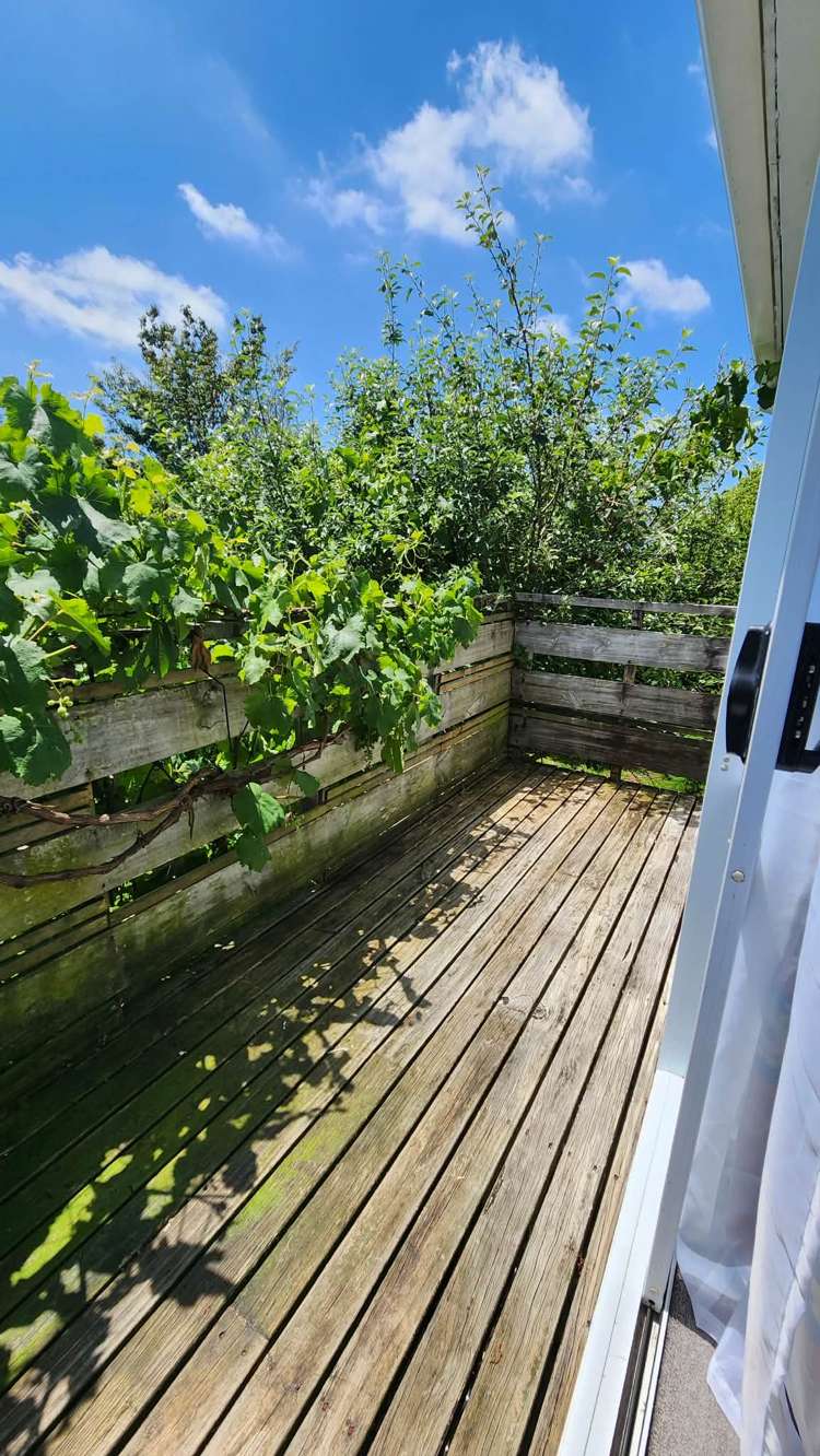 591 No 1 Road Te Puke_7