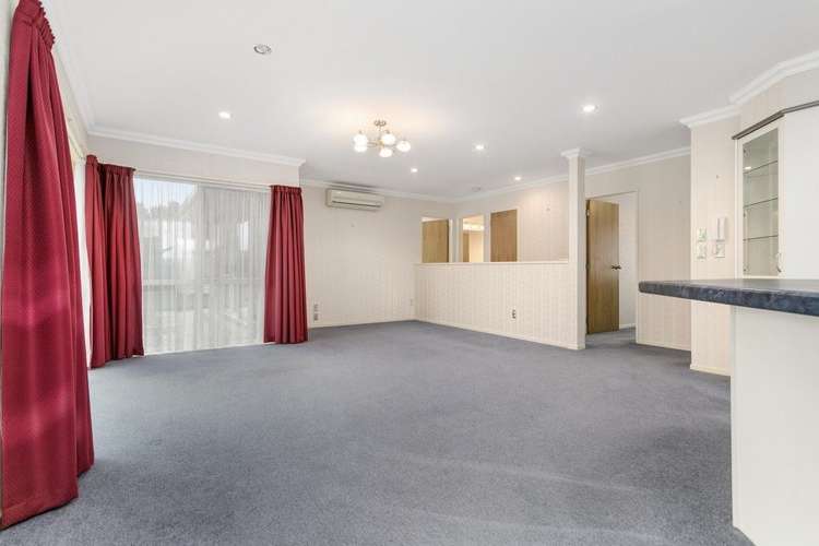 297 Bellevue Road Matangi_12