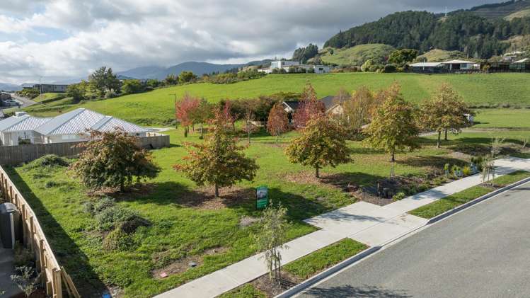 Belvedere Drive (Lots 1, 2, 3, 6)_4