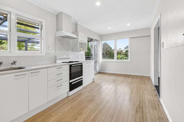 163 Arapuni Street Putaruru_2