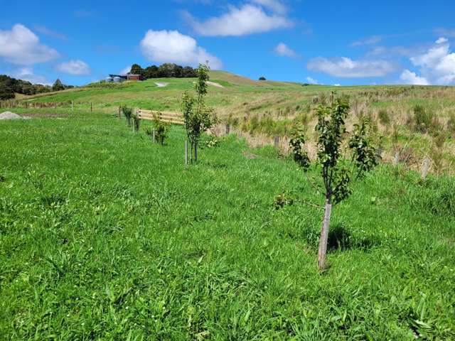 364 Lot 4 Oneriri Road Kaiwaka_1