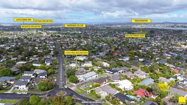 1/8 Gills Road Bucklands Beach_31