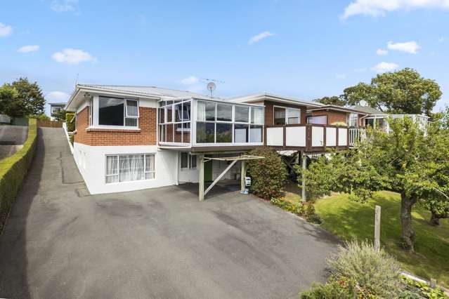 379 Pine Hill Road Liberton_1