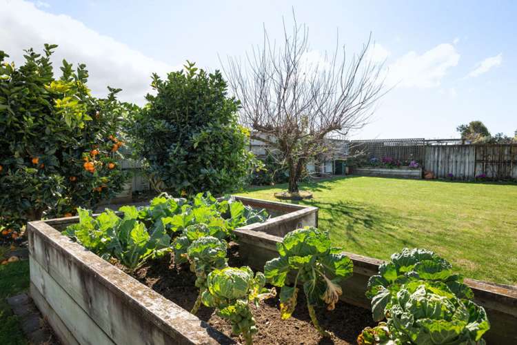 14 Hoggard Place Katikati_17