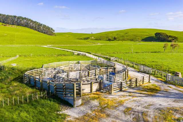 1108 Tokatoka Road Ruawai_1