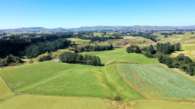 412 France Road Matamau_4