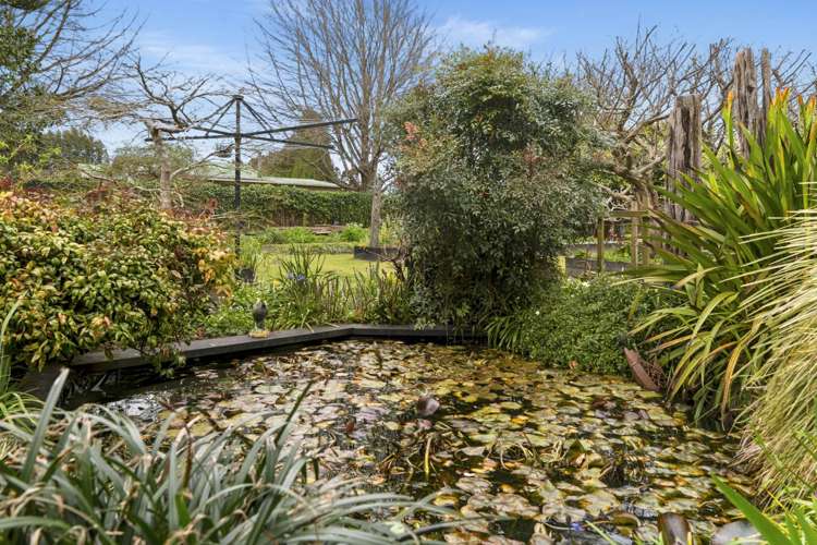 5 Huse Lane Te Puke_2